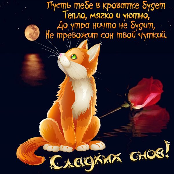 Добрый вечер и спокойной ночки