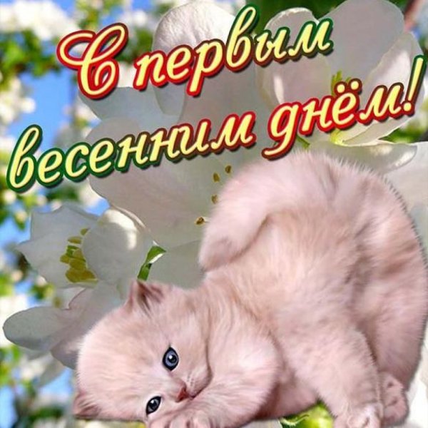 Пепервыервый день весны