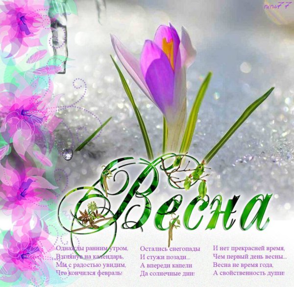 1 Марта день кошек