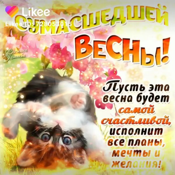 Поздравление с 8 марта