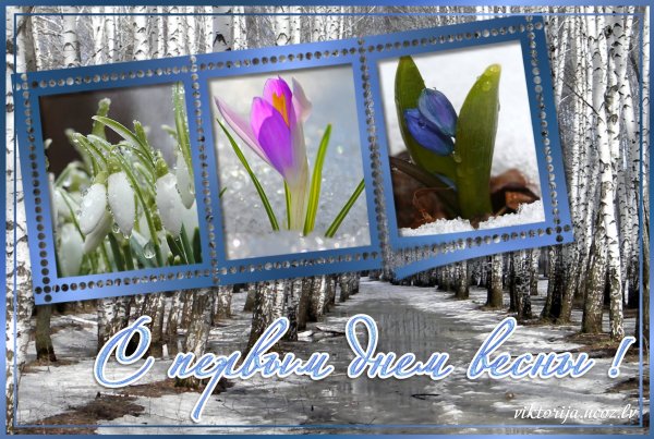 Весна подснежники крокусы
