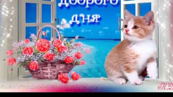 Добрый день анимация