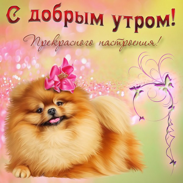 Открыточки с добрым утром