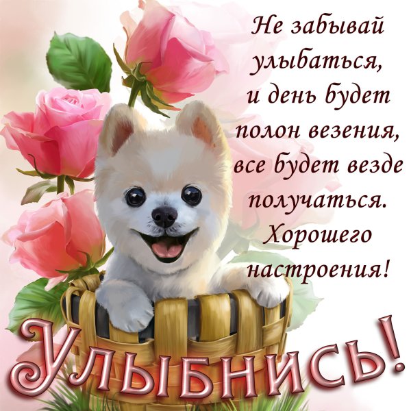 Открытки улыбнись