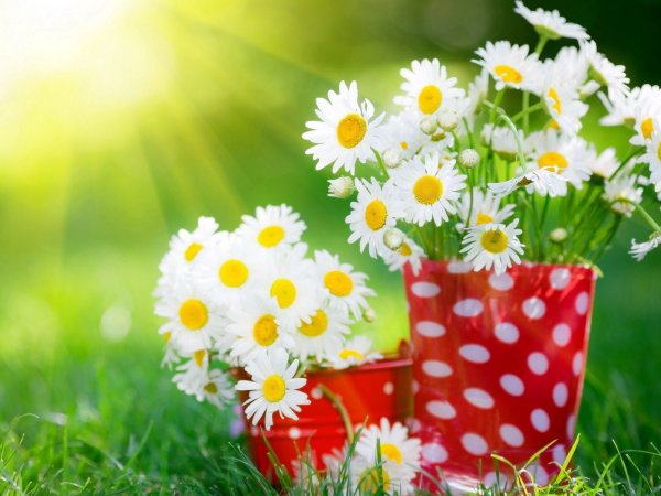 Доброе утро хорошего настроения