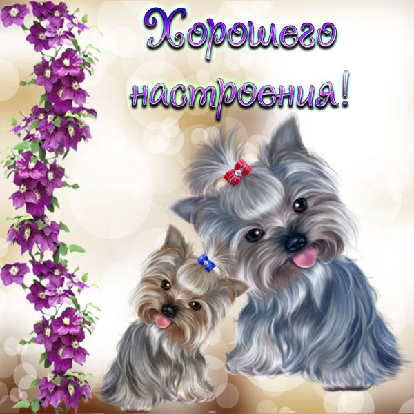 Открытка "хорошего настроения"