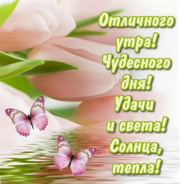 Бодрого утра и хорошего дня