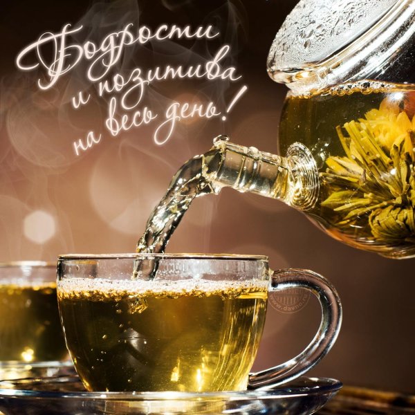 Добрый день мужчине