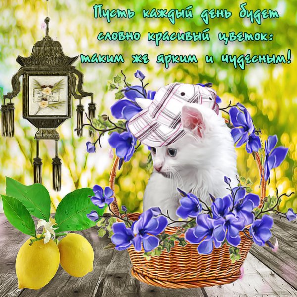 Открытки с добрым утром