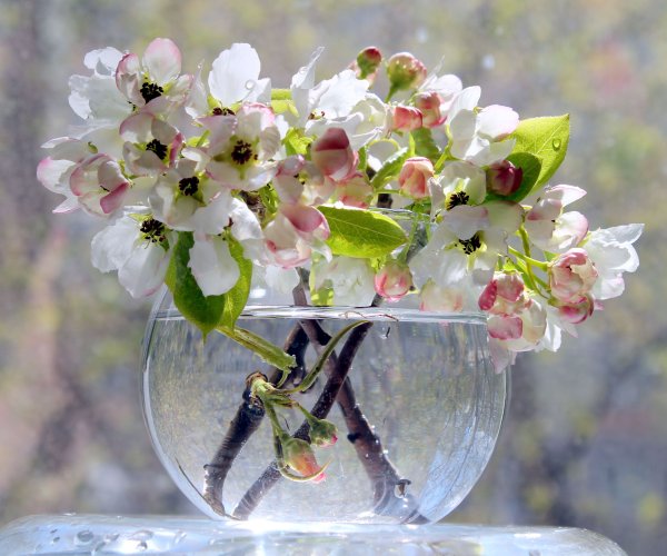 С добрым утречком