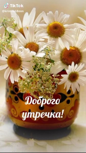 Доброе субботнее утро