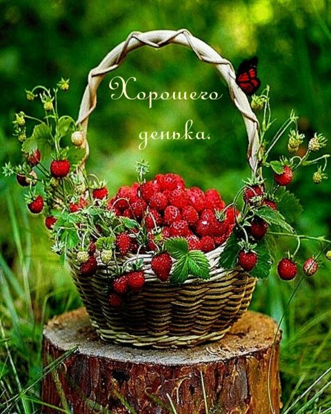 Нежного утра и хорошего настроения