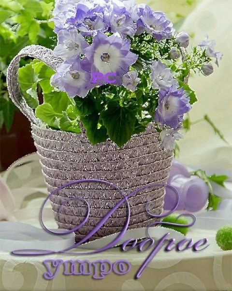 Позитивные открытки с добрым утром