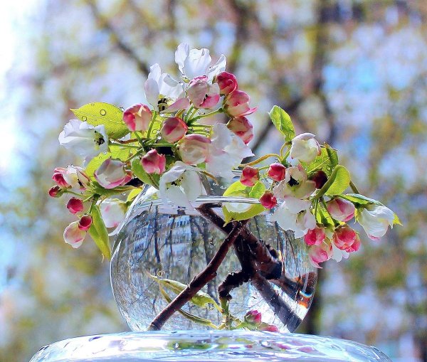 Стильные поздравления с добрым утром