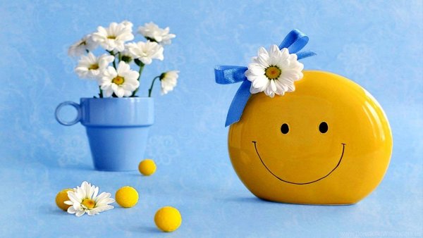 Отличного дня и позитивного настроения