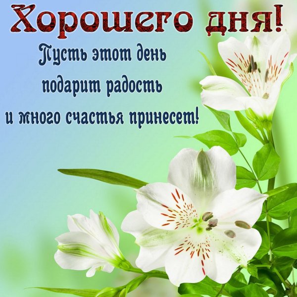 Пожелания удачного дня