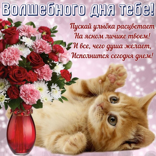 Хорошего дня открытки красивые