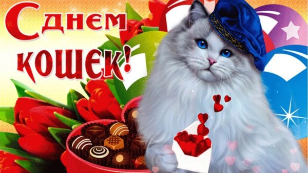 День кошек