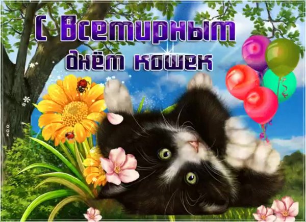 Всемирный день кошек поздравления