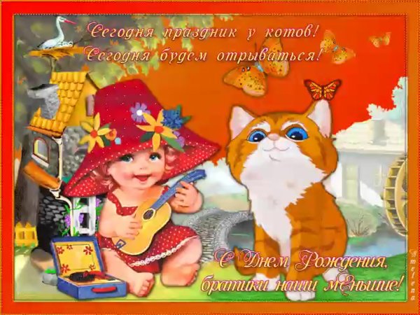 Открытки с котиками с праздником