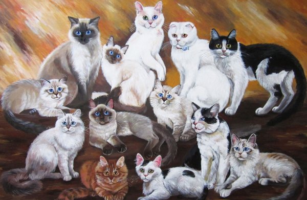 Всемирный день кошек