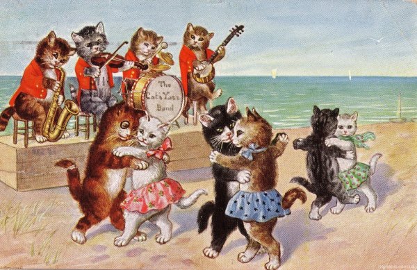 Команда котов