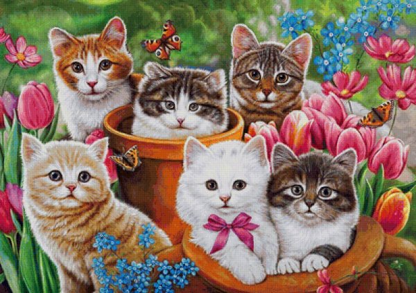 Котенок в саду
