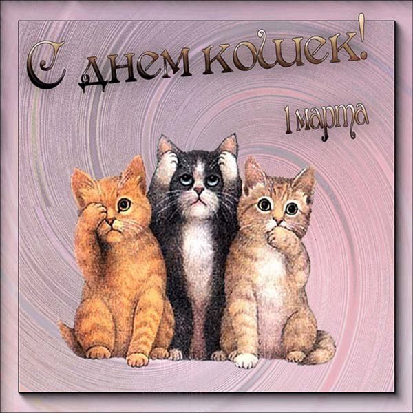 17 Февраля день кошек