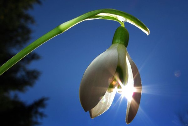 Астрономическая Весна