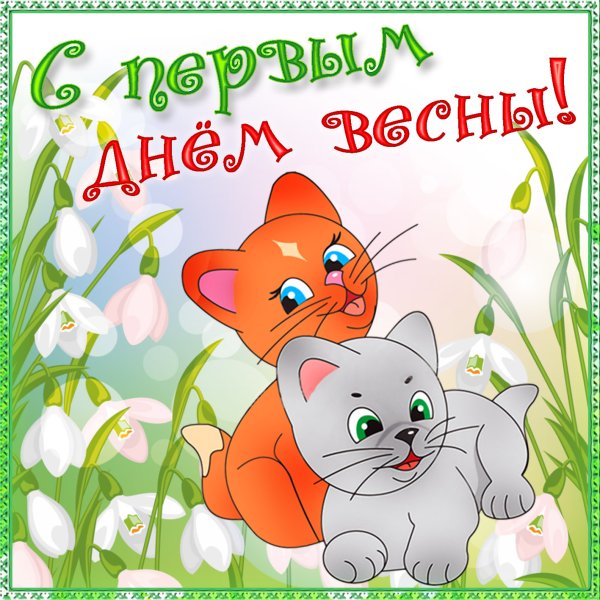 1 Марта день кошек