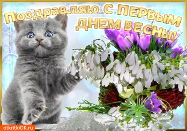 1 Марта день кошек