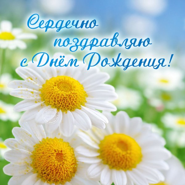 С днем рождения