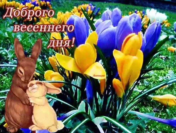 Поздравления с добрым утром весны