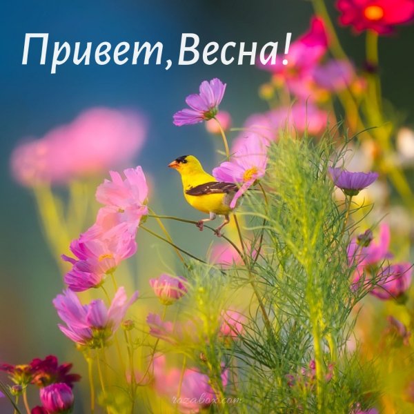 Добрые пожелания