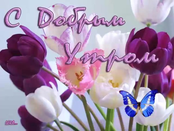 Открытки с добрым утром