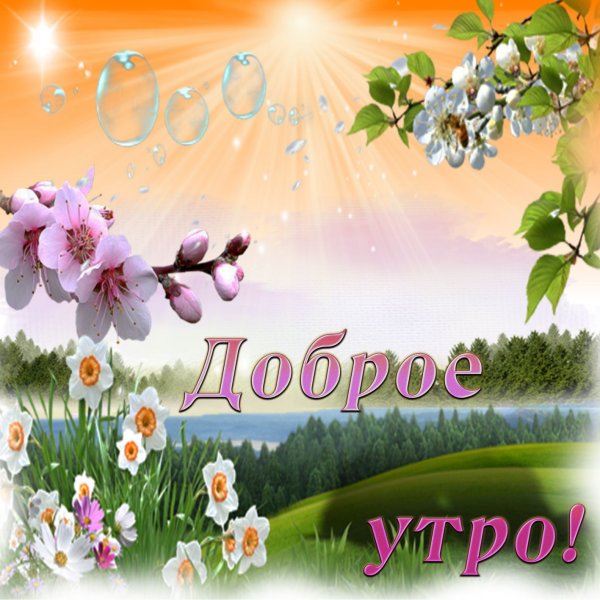 Букет пролески и подснежники