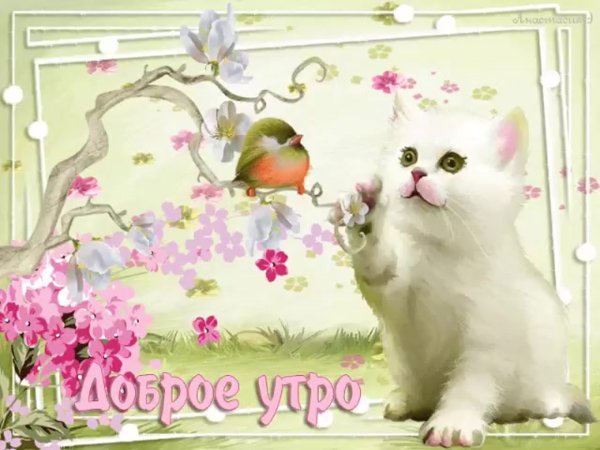 Солнечного весеннего настроения