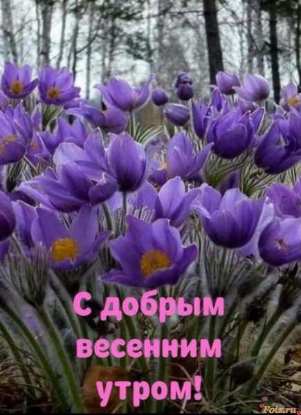 Открытки поздравления с субботой