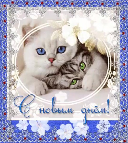 Открытки на каждый день