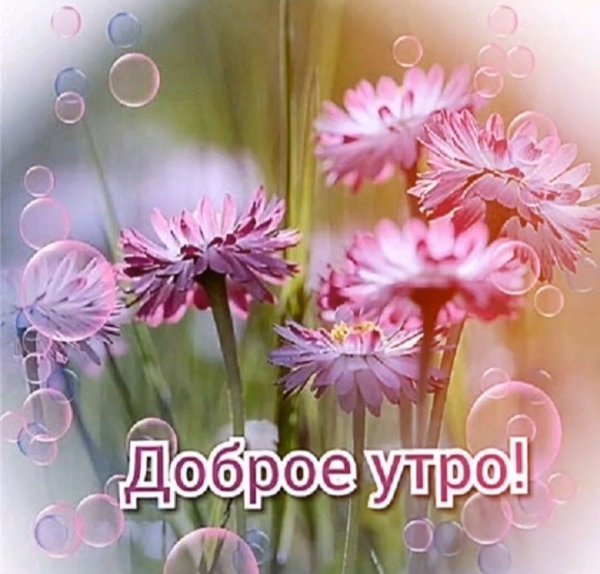 Доброе утро семья