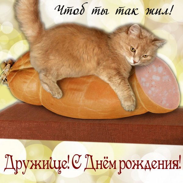 Прикольные открытки