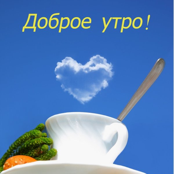 Пожелания доброго дня