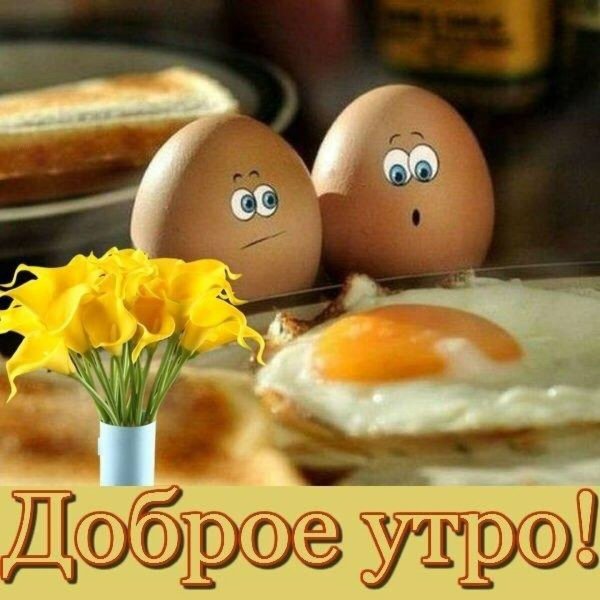 Пожелания с добрым утром прикольные