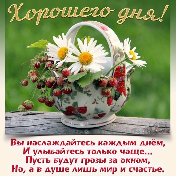 Хорошего летнего дня