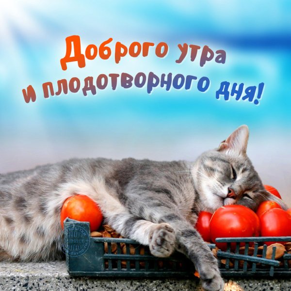 Поздравление с добрым утром