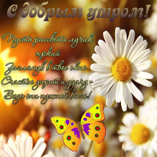 Доброе солнечное утро