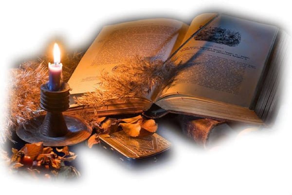 Раскрытая книга с цветами