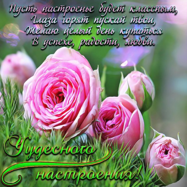 Поздравление с добрым днем