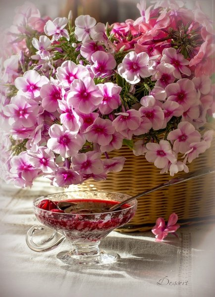 Чудесного утра и прекрасного дня