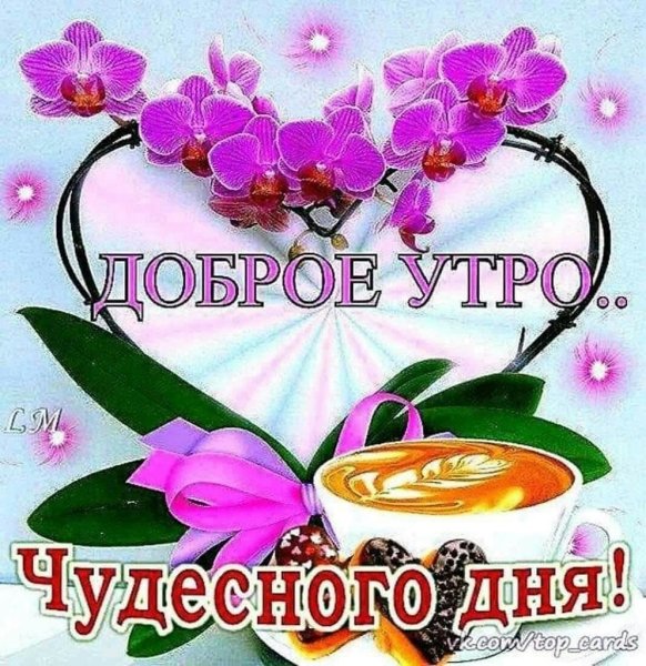 Чудесного дня